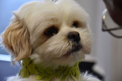 Sitzung der Niederlassungsleiter:innen in Meschede